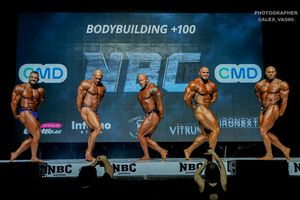 BODYBUILDING +100